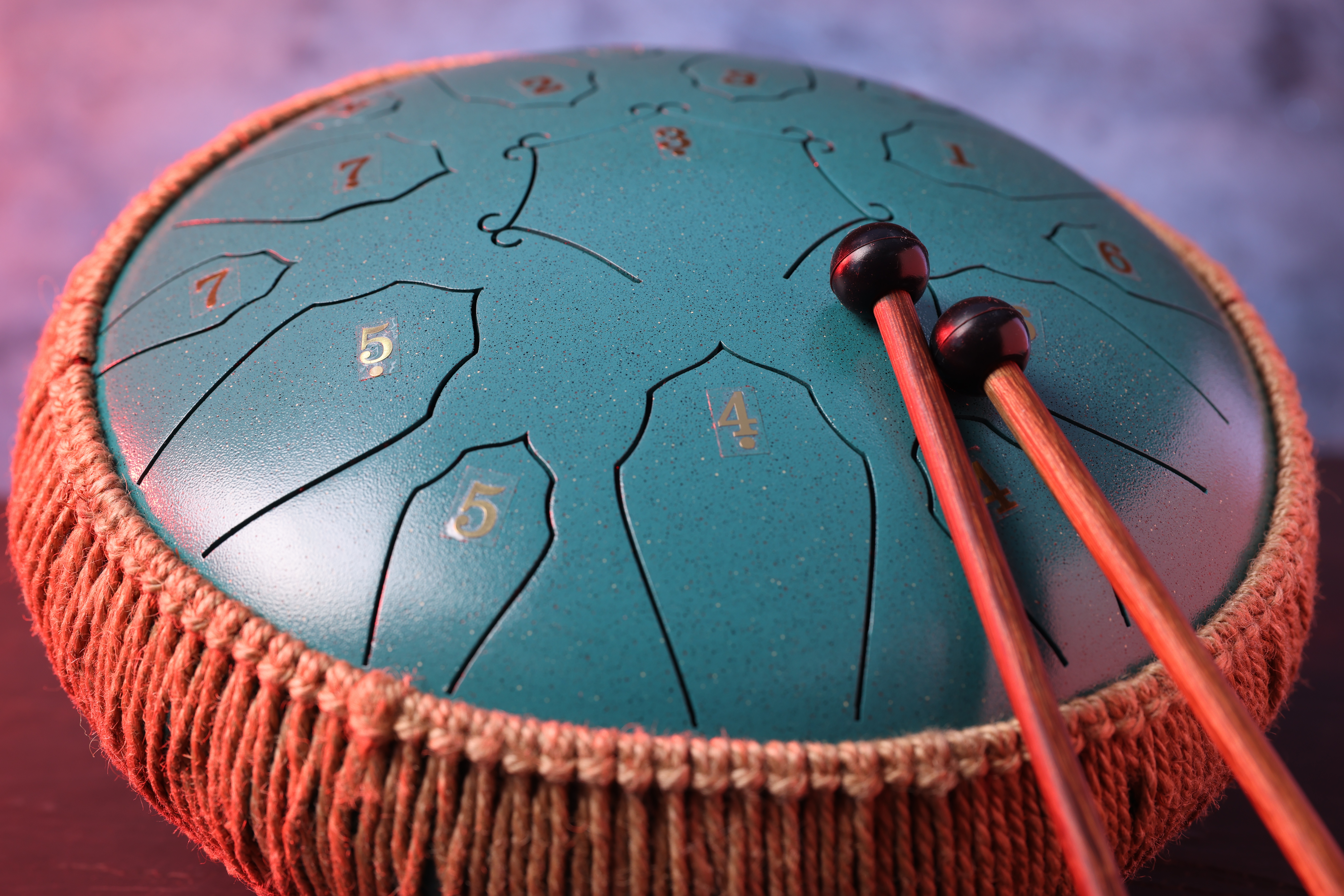Comment choisir son premier tongue drum
